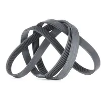 CONTITECH Multiriem 6PK1780 Contitech voor o.a. ALFA ROMEO, BMW, FIAT, FORD, RENAULT