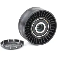 INA Spanrol 532046810 Ina voor o.a. AUDI, SEAT, VOLKSWAGEN