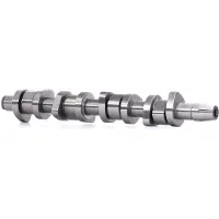 Schaeffler INA Nokkenas INA 428 0110 10