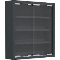 VCM AgisaS glazen vitrines wandmontage 2 schuifdeuren antraciet.