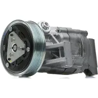 Valeo 559601 Aircopomp