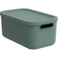 Rotho Albula Light - Decoratieve opbergbox - 12 L - groen