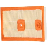 Champion CAF101067P Luchtfilter