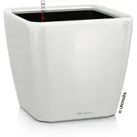 Lechuza QUADRO Premium LS 21 - Plantenbak - met uitneembare binnenbak - met bewateringssysteem - ALL-IN-ONE set met LECHUZA-PON - wit hoogglans