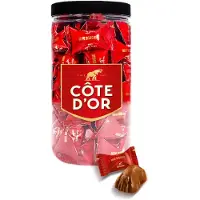 Côte d'Or Bouchée mini - ca. 53 stuks - 500g