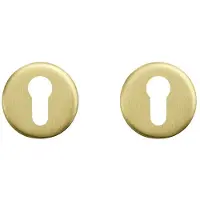 Axa Deurbeslag | Cilinderrozet | (Rond, Aluminium, Goud)