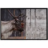 Sencys Deurmat Mondial Wild Deer 50 X 75 Cm