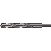 RUKO 2004200 DIN 338 Typ N HSS-G Spiraalboor 20 mm Gezamenlijke lengte 205 mm DIN 338 13mm-snelspanboorhouder 1 stuk(s)