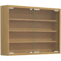 VCM AgisaM glazen vitrines wandmontage 2 schuifdeuren beuken decor.