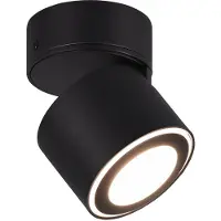 TRIO 652910132 Plafondlamp Taurus Zwart