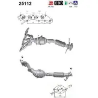 As 25112 Katalysator