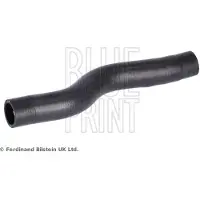 Blue Print ADBP930009 Radiateurslang