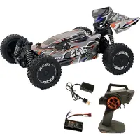 DF-Models Z06 Light Buggy 1:14 RTR