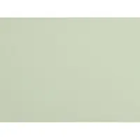 Göldo Pickguard blank 3-ply mint 23x41 - Pickguard