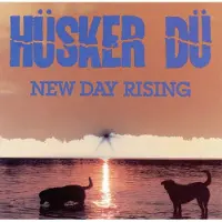 Bertus Distributie New Day Rising