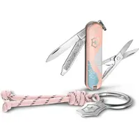 Victorinox Classic SD Paris Style 0.6223.E221 Zwitsers zakmes