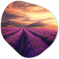 MuchoWow Organische wanddecoratie 60x60 cm - Organisch schilderij Lavendelveld - Zonsondergang - Paars - Muurdecoratie woonkamer - Kamer decoratie - Schilderijen - Muurcirkel aesthetic