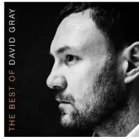Konkurrent David Gray - The Best Of (2 LP)