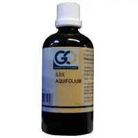Go Ilex aquafolium