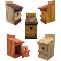 Garden Spirit Vogelhuisje Pakket Mezen - 5 stuks- Nestkastje - - Multicolor - BN11set