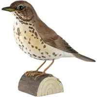 Wildlife Garden DecoBird - zanglijster