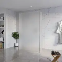 FortiFura Galeria Vrijstaande Inloopdouche - 120x200cm - Glas mat - antikalk - 8mm veiligheidsglas - 2 zijwanden 40cm - wandsteunen en hoekprofielen - Geborsteld RVS PVD (RVS) SW927769