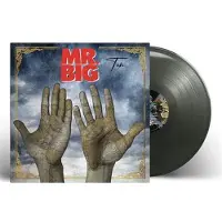 Mr. Big TEN