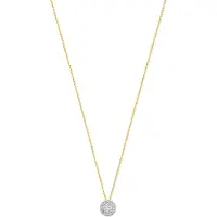 Isabel Bernard Ketting goud / transparant