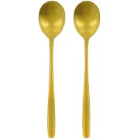Nicolas Vahé Daily serveerlepel 2-pack Gouden afwerking