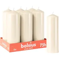 Bolsius - Gladde Stompkaarsen - 6 stuks - Ivoor - 20cm - 75 branduren