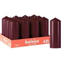 Bolsius - Gladde Stompkaarsen - 12 stuks - Bordeauxrood - 42 branduren - 15 x 5,8 cm