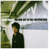 Import Fine art of self Destruction