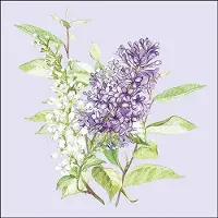 Ambiente - Lunch servetten - Lilac Lila