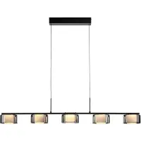 Paul Neuhaus 5 Lichts Hanglamp Rika Zwart