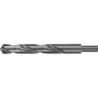 RUKO 2004150 DIN 338 Typ N HSS-G Spiraalboor 15 mm Gezamenlijke lengte 169 mm DIN 338 1 stuk(s)