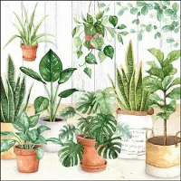 Ambiente - Lunch servetten - Urban Jungle