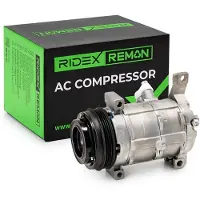 RIDEX 447K0520R Aircopomp