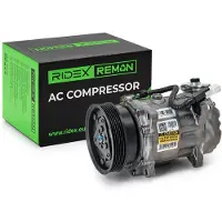 RIDEX 447K0226R Aircopomp