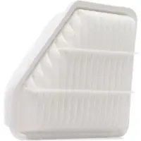 RIDEX 8A0255P Luchtfilter