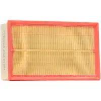 RIDEX 8A0233P Luchtfilter