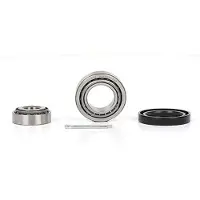 BSG 30-600-002 Wiellagerset