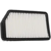RIDEX 8A0413P Luchtfilter