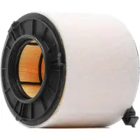 RIDEX 8A1434 Luchtfilter