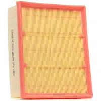 RIDEX 8A0108P Luchtfilter