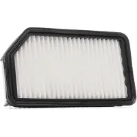 RIDEX 8A0191P Luchtfilter