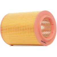 RIDEX 8A0134 Luchtfilter