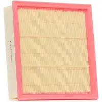 RIDEX 8A0657 Luchtfilter