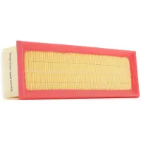 RIDEX 8A0659P Luchtfilter