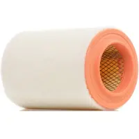 RIDEX 8A0340 Luchtfilter
