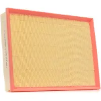 RIDEX 8A0067P Luchtfilter
